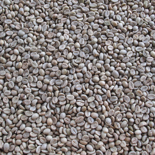 Bohnen Parchment