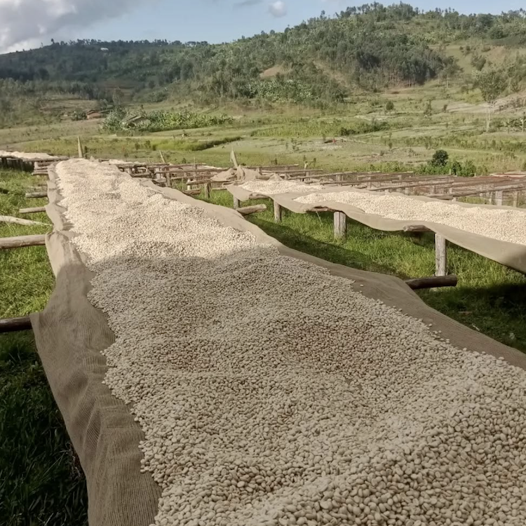 Ntunga Farm